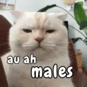 Կպչուն պիտակ