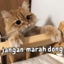 Կպչուն պիտակ