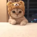 Կպչուն պիտակ