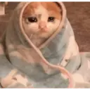 מדבקה