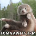 Çıkartma
