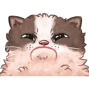 สติกเกอร์
