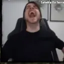 Stika