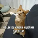 Stiker
