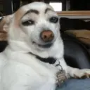Samolepka
