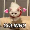 스티커