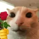 스티커