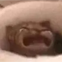 스티커