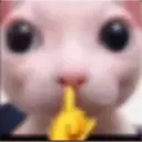 스티커