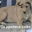 מדבקה