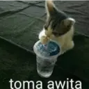 מדבקה