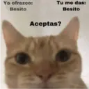 מדבקה