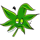 ස්ටිකර්