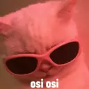 Nhãn dán