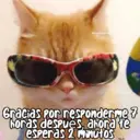 Figurinha
