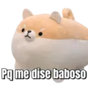 Pelekat