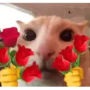Figurinha