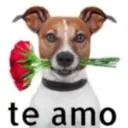 Figurinha