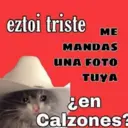 Ngjitës