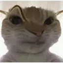 ملصق