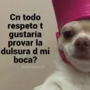 Nhãn dán