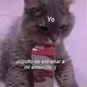 Figurinha