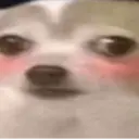 מדבקה