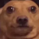 Límmiði