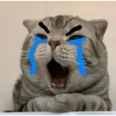 스티커