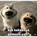 Stiker
