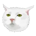 Stika