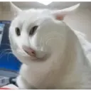 Stika