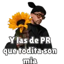 Límmiði