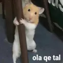 Pelekat