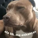 Çıkartma