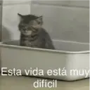 Çıkartma