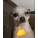 Կպչուն պիտակ