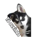 מדבקה
