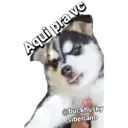 Figurinha