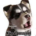 מדבקה