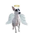 Figurinha