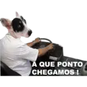 Стикер