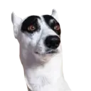 Стикер