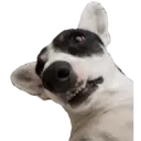 Стикер
