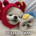 스티커