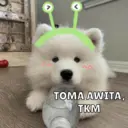 Çıkartma