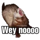 Nhãn dán