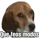 Nhãn dán