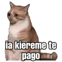Nhãn dán