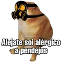 Nhãn dán